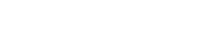 SAYSBOX logo